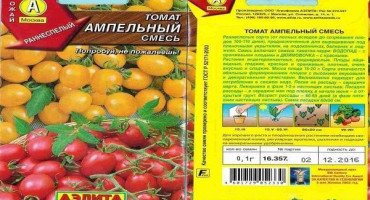 Popis ampelózní směsi odrůd rajčat, vlastnosti pěstování a péče